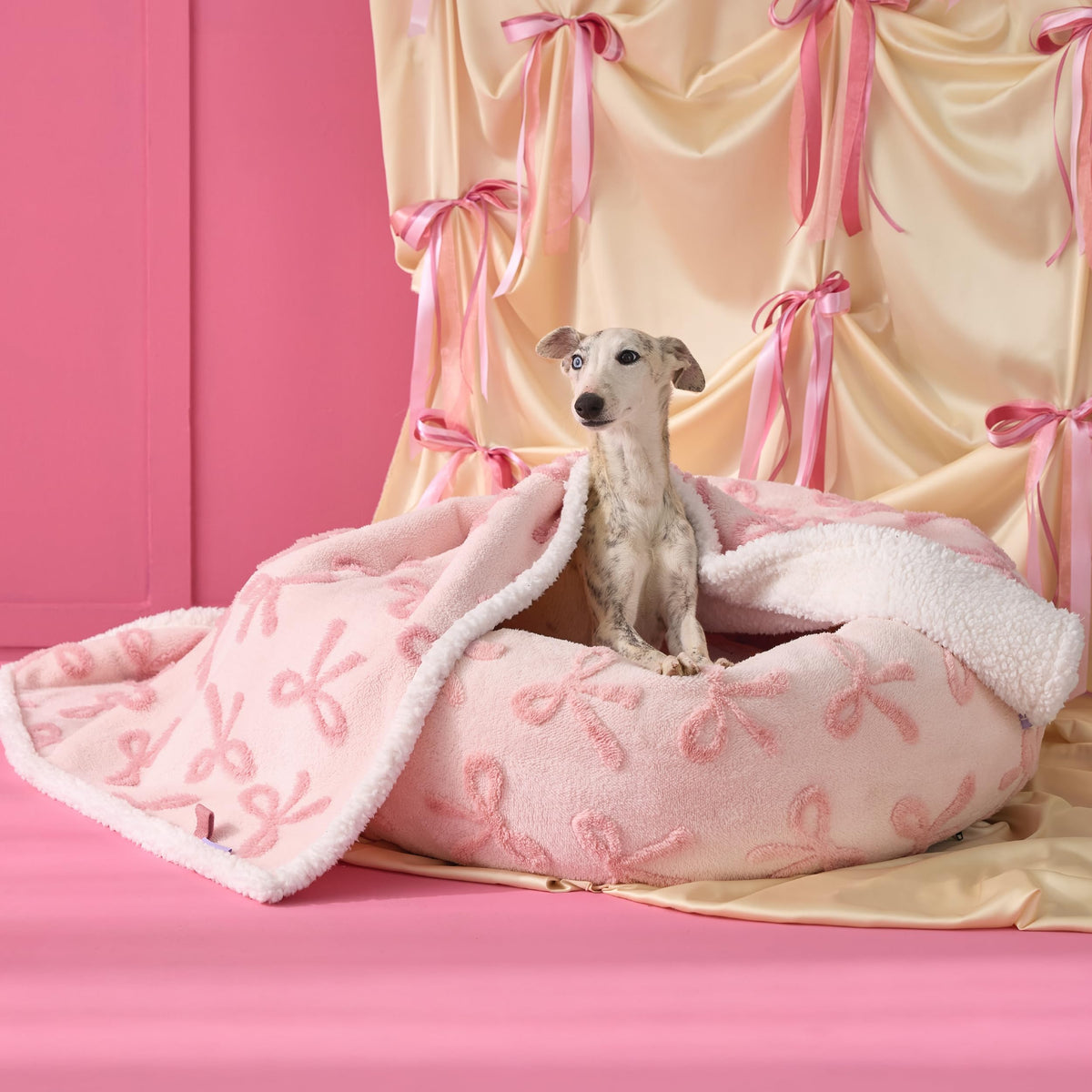 LE SURE Waterproof Dog Blankets for Small Dogs Cute Cozy 3D Jacquard,25x35