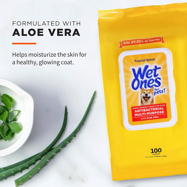 Wet Ones for Pets Multipurpose Dog Wipes with Aloe Vera, Tropical Splash Scent - Pet Bathing Wipes with Wet Lock Seal for Dog Paws and All-Over Use, 100 Count