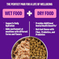 Wellness Complete Health Pate Variety Pack Adult Canned Wet Cat Food, Natural, Protein Rich, Grain Free, Seafood Favorites, 3 oz, Pack of 24 Cans