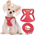 Puppytie xs Dog Harness with Multifunction Dog Leash,Soft Adjustable No Choke Escape Proof Pet Harness Vest,red-Camellia,XS