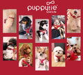 Puppytie xs Dog Harness with Multifunction Dog Leash,Soft Adjustable No Choke Escape Proof Pet Harness Vest,red-Camellia,XS