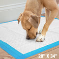 Four Paws Wee-Wee Superior Performance Unscented Extra-Large Pee Pads for Dogs & Puppies, Quilted Leak-Proof Dog Housebreaking Potty Training Floor Protection, 28" x 34", 40 Count