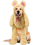 Rubies Walking Teddy Bear Pet Costume for Dogs or Cats, Medium