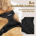 rabbitgoo Dog Harness No Pull with 2 Leash Clips, Adjustable Soft Padded, Reflective Oxford No Choke Pet Vest with Easy Control Handle for Large Dogs, Black, L