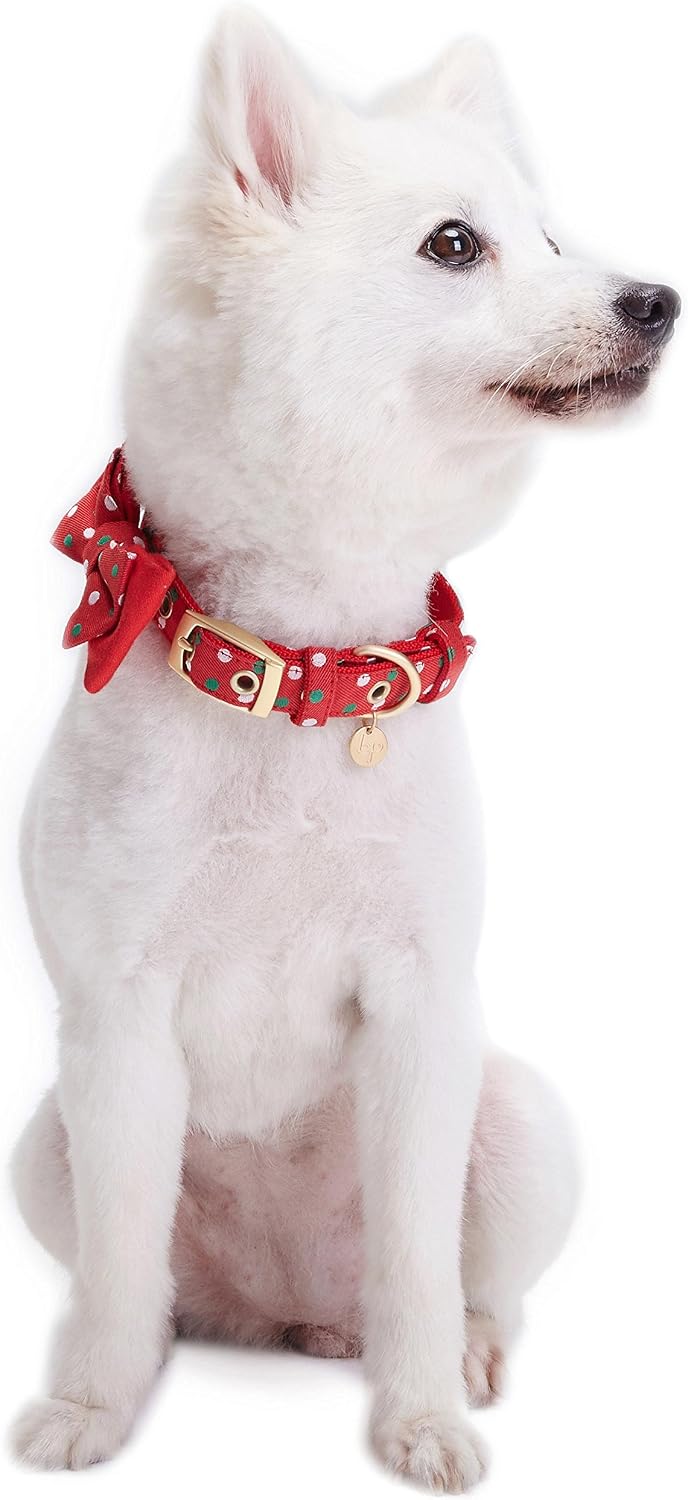 Blueberry Pet Luxurious Christmas Festival Polka Dot Adjustable Dog Collar with Detachable Bowtie, Neck 13-16.5", for Medium Breed