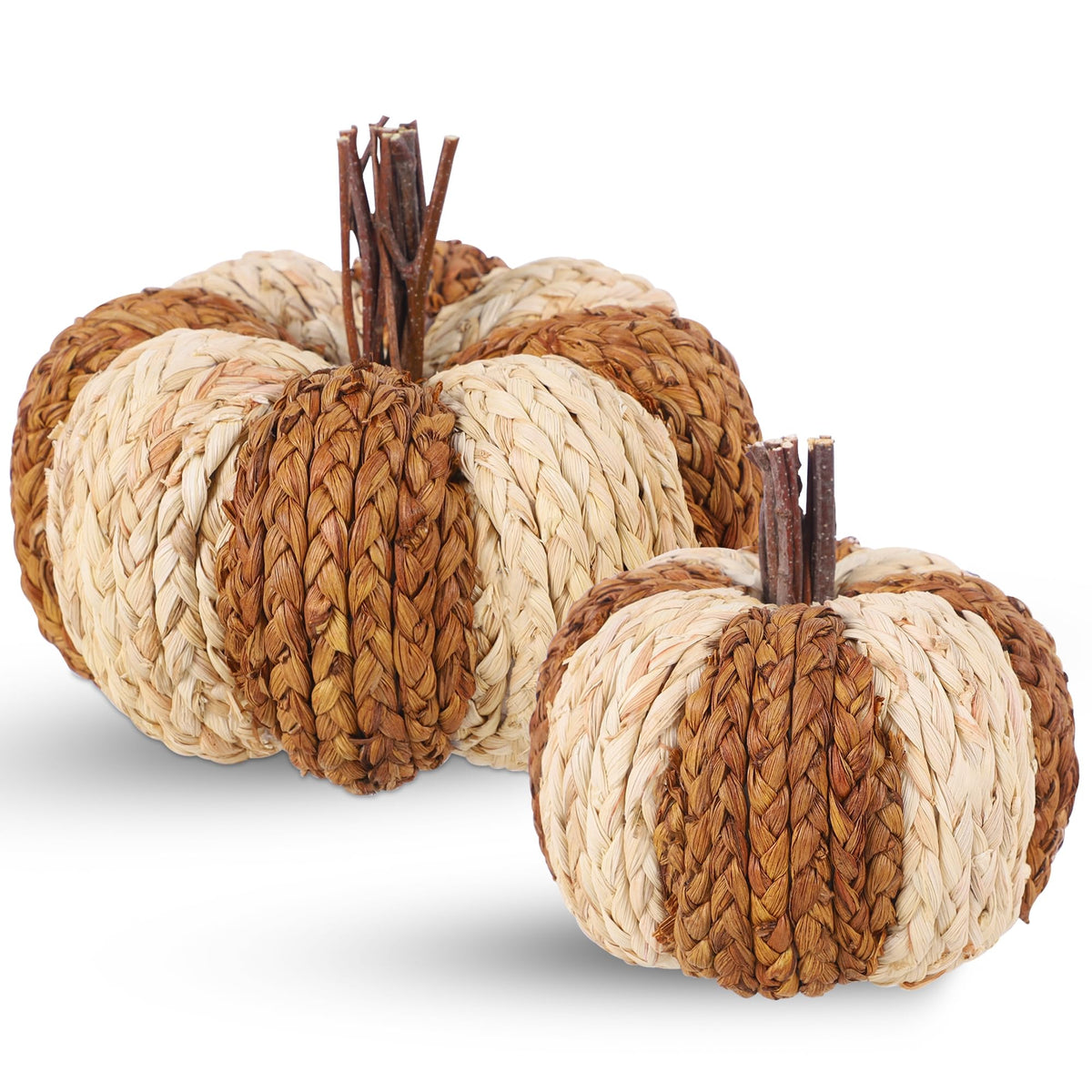 winemana Fall Decorations for Home Mini Pumpkins Gourds & Leaves Set