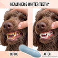 Hampton Distribution 4-Pack Pet Dental Care Kit - 360° Silicone Dog & Cat Finger Pet Toothbrush