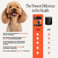 Hip + Joint Supplement for Dogs with Glucosamine Chondroitin - MSM, Turmeric & Collagen Soft Chews - Joint Function, Stiffness, and Mobility Support, May Reduce Occasional Discomfort (Chicken, 90 Ct)