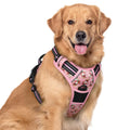 rabbitgoo Dog Harness No Pull with 2 Leash Clips, Adjustable Soft Padded, Reflective Oxford No Choke Pet Vest with Easy Control Handle for Medium Sized Dogs, Black, M