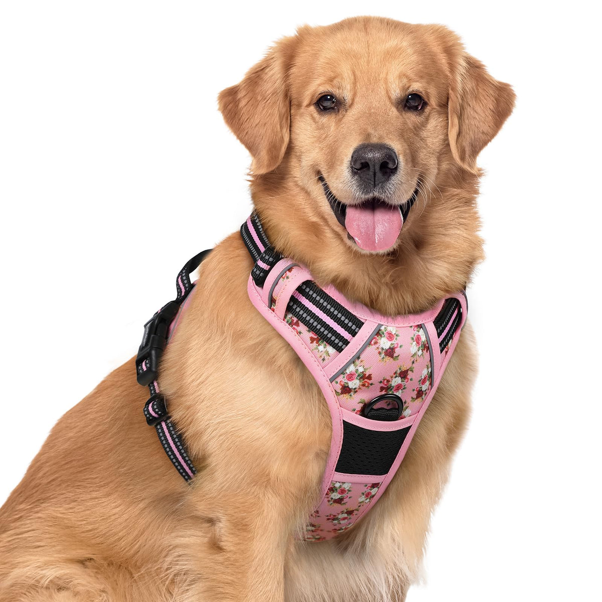 rabbitgoo Dog Harness No Pull with 2 Leash Clips, Adjustable Soft Padded, Reflective Oxford No Choke Pet Vest with Easy Control Handle for Medium Sized Dogs, Black, M