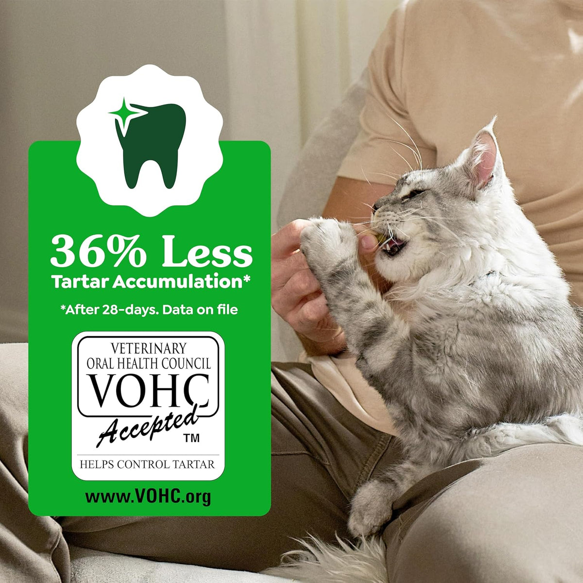 Greenies Cat Treats, Feline Veterinarian-Recommended Adult Natural Dental Cat Treats, Savory Salmon Flavor, 4.6 oz. Pouch