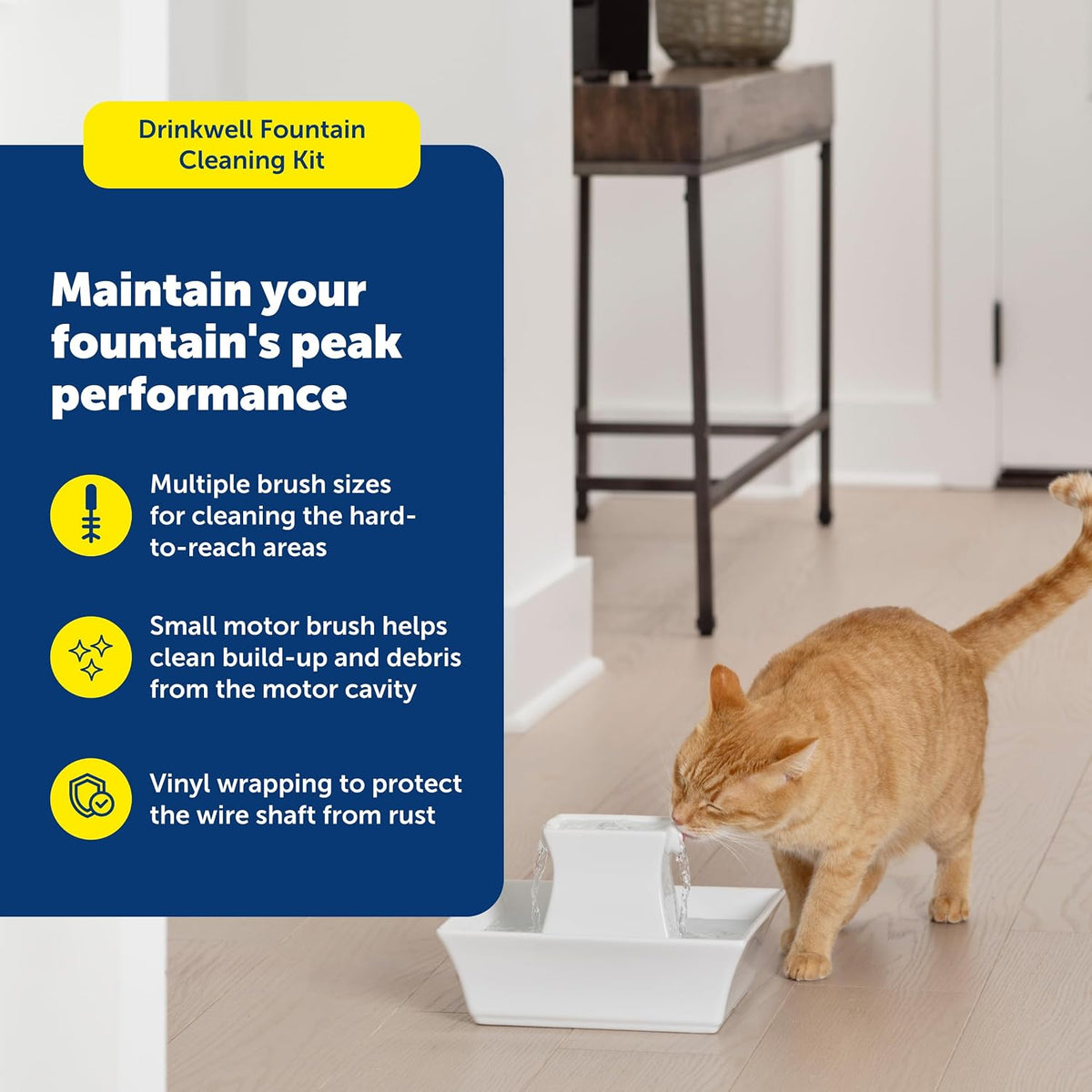 PetSafe Drinkwell Dog and Cat Water Fountain Cleaning Kit, 3 Brushes, Blue, 1 3/8', 1 5/8', 2' brushes (535855) | 3-Brush Set, Plastic-Wrapped Steel Shafts Resist Rust, Flared Sponge Tip for Deep Cleaning, Fits All Drinkwell Fountains