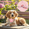 Small Dog Collar with Flower, Spring Dog Collar for Girl Dog Collars for Small Dogs Cute Dog Collar with Bell, Adjustable Length