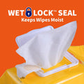 Wet Ones for Pets Multipurpose Dog Wipes with Aloe Vera, Tropical Splash Scent - Pet Bathing Wipes with Wet Lock Seal for Dog Paws and All-Over Use, 100 Count