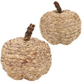 winemana Fall Decorations for Home Mini Pumpkins Gourds & Leaves Set