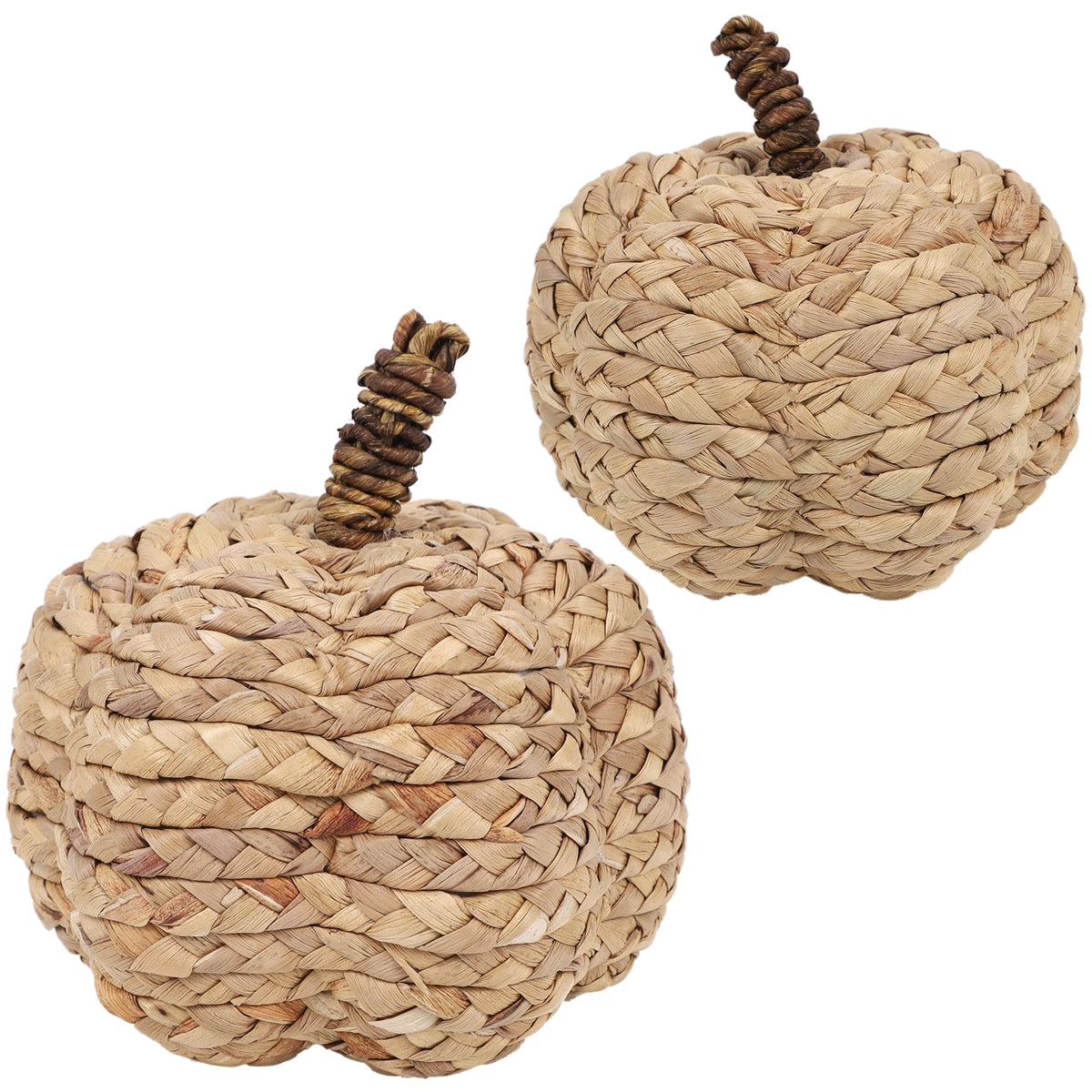 winemana Fall Decorations for Home Mini Pumpkins Gourds & Leaves Set