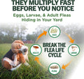 Vet's Best Flea & Tick, Mosquito, Yard & Kennel Spray for Dogs, 32 oz | Plant-Based Yard Treatment, Kills Fleas, Ticks & Mosquitoes, Ready-to-Use Hose Attachment, Safe for Plants, Made in USA