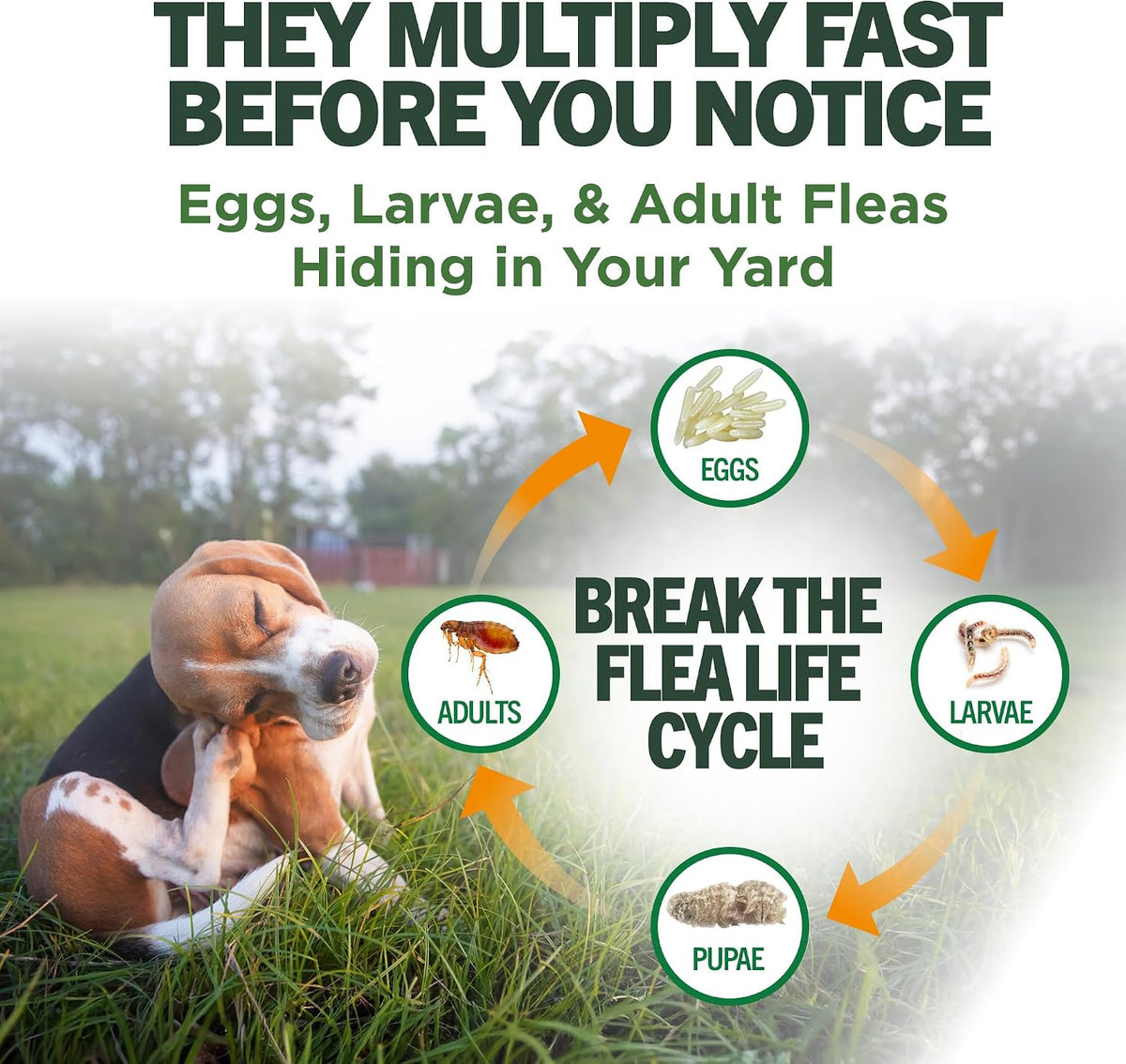 Vet's Best Flea & Tick, Mosquito, Yard & Kennel Spray for Dogs, 32 oz | Plant-Based Yard Treatment, Kills Fleas, Ticks & Mosquitoes, Ready-to-Use Hose Attachment, Safe for Plants, Made in USA