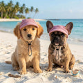 Rbenxia Dog Sun Hat with Ear Holes Pet Summer Baseball Beach Visor Hat