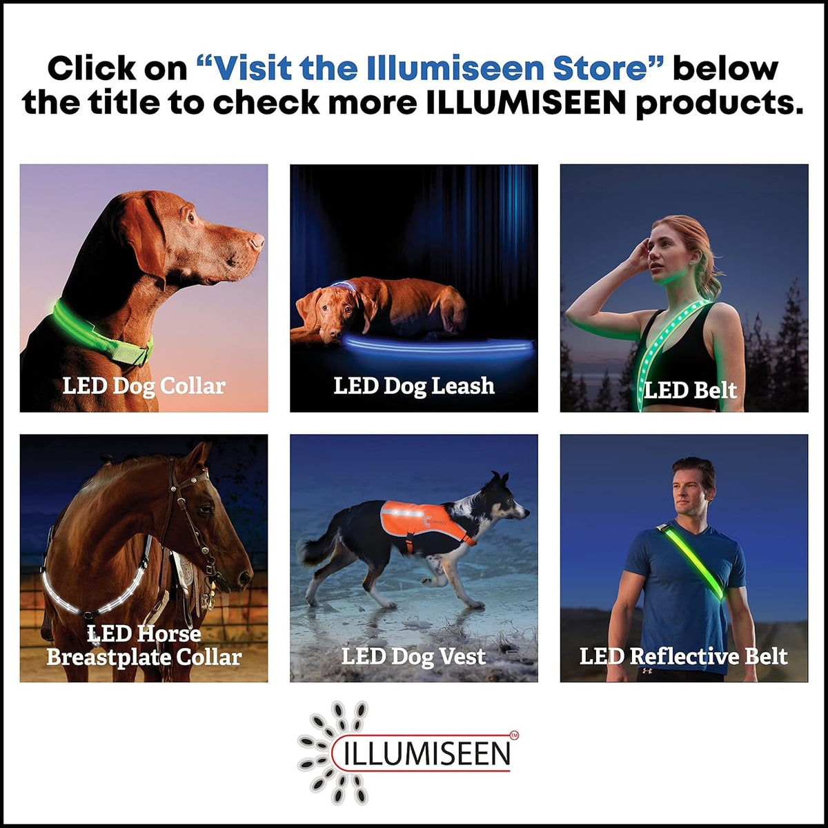 ILLUMISEEN LED Dog Collar USB Rechargeable - Bright & High Visibility Lighted Glow Collar for Pet Night Walking - Weatherproof, in 6 Colors & 6 Sizes (Green Large)