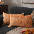 DFXSZ Fall Pillow Covers 18x18 2Pcs Rust Pumpkin Fall Decorations for Home | Fall decor Set of 2 Throw Pillow Cases Soft Plush Faux Fur Wool Couch Cushion for Chair Sofa Bedroom Living Room Home Decor
