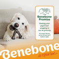 Benebone Wishbone Chew Toy for Aggressive Chewers, Pumpkin Spice, Small