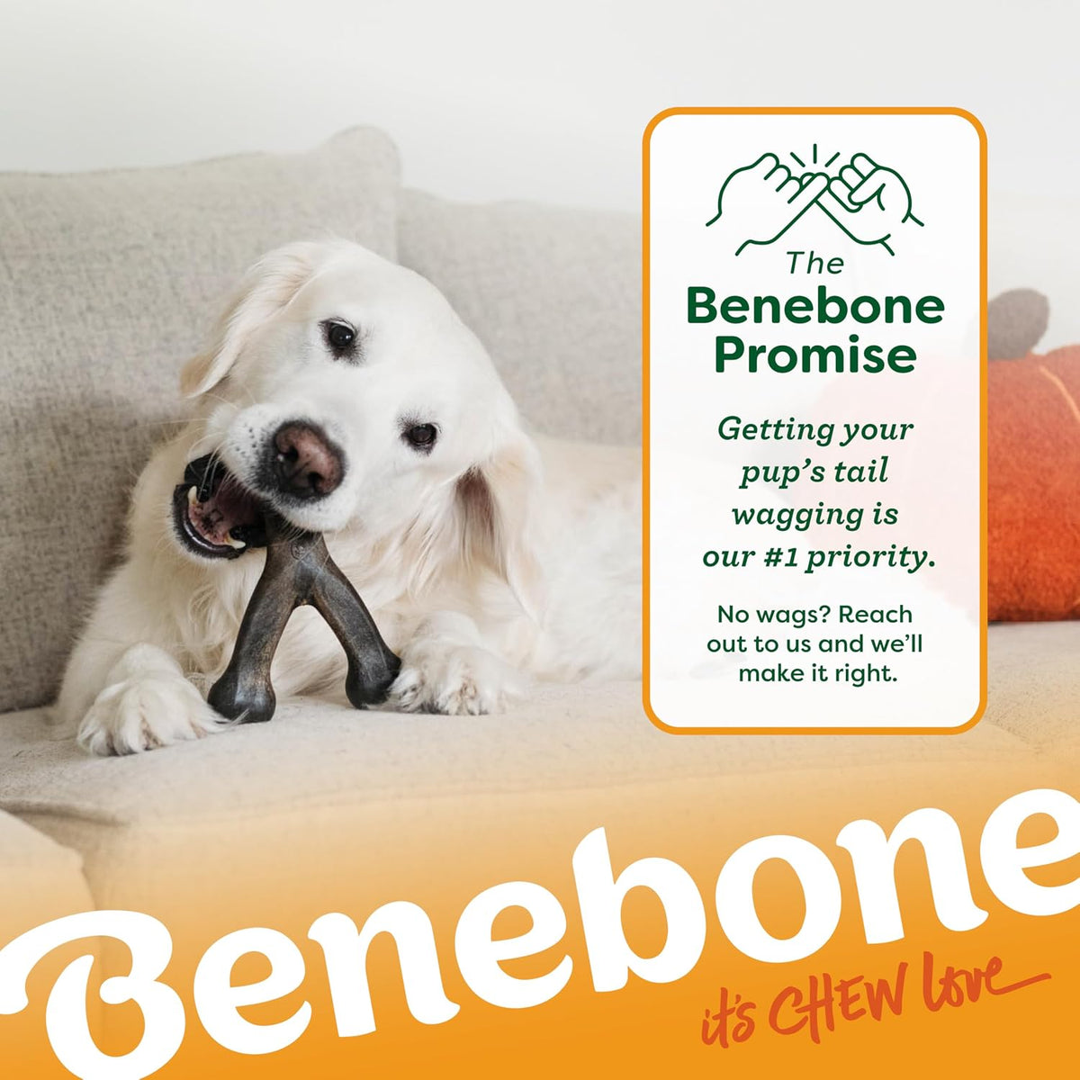 Benebone Wishbone Chew Toy for Aggressive Chewers, Pumpkin Spice, Small