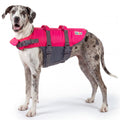 Outward Hound Granby Splash Orange Dog Life Jacket, Medium