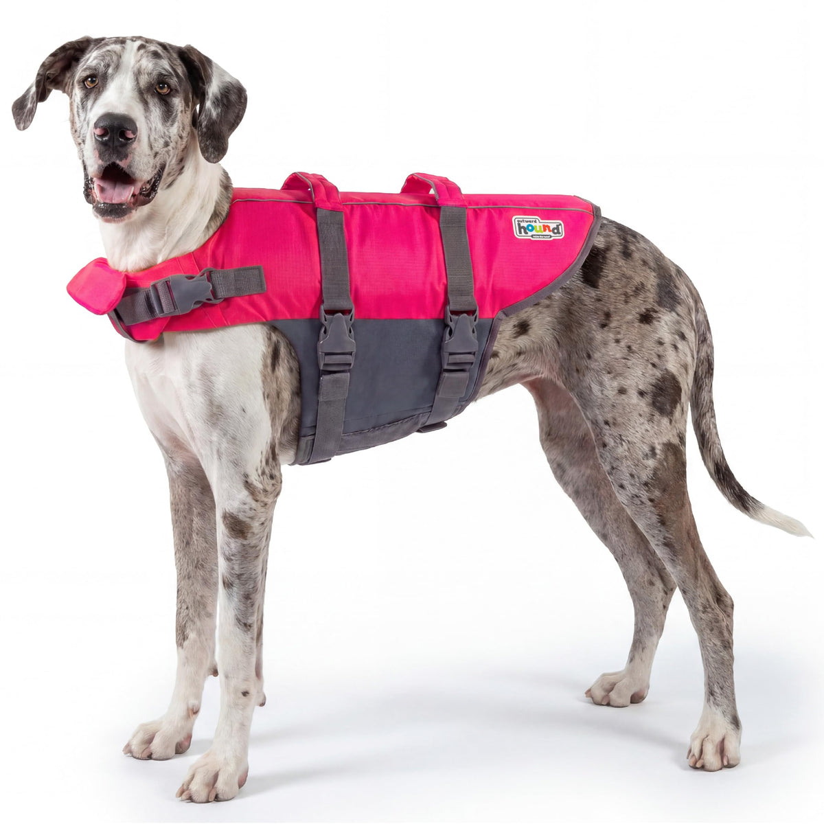 Outward Hound Granby Splash Orange Dog Life Jacket, Medium