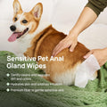 HICC PET Wipes for Dogs & Cats, Cleaning Deodorizing External Anal Area Wipes, Hydrating & Nourish Fur Dog Grooming Wipes for Paw, Butt, Body