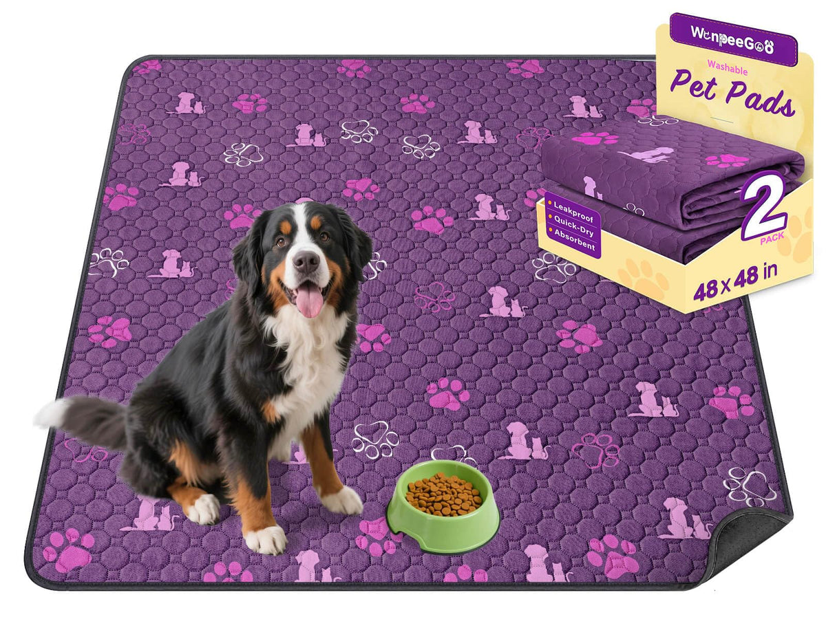 WanpeeGoo Washable Pee Pads for Dogs, Waterproof, 18 x 24 in, 4 Pack, Gray | Super Absorbent, Waterproof and Non-Slip; Washable, Reusable Dog Pads for Crates, Playpens, Floors, Furniture and Travel