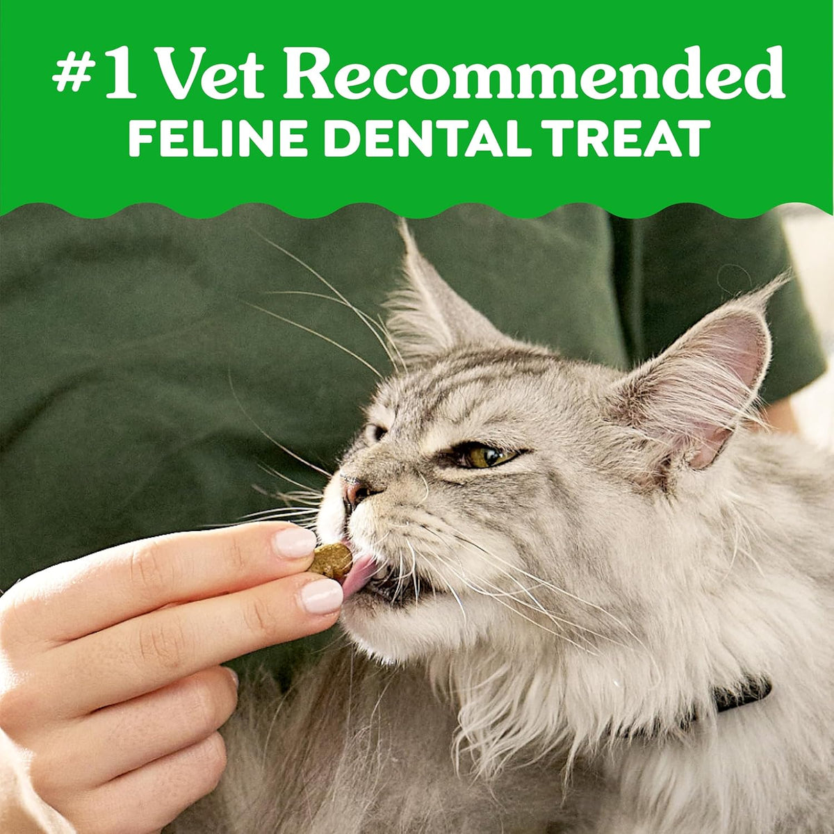 Greenies Cat Treats, Feline Veterinarian-Recommended Adult Natural Dental Cat Treats, Savory Salmon Flavor, 4.6 oz. Pouch