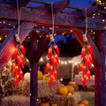 8.5Ft Thanksgiving Turkey String Lights, 10 LED Outdoor with Garland Decor
