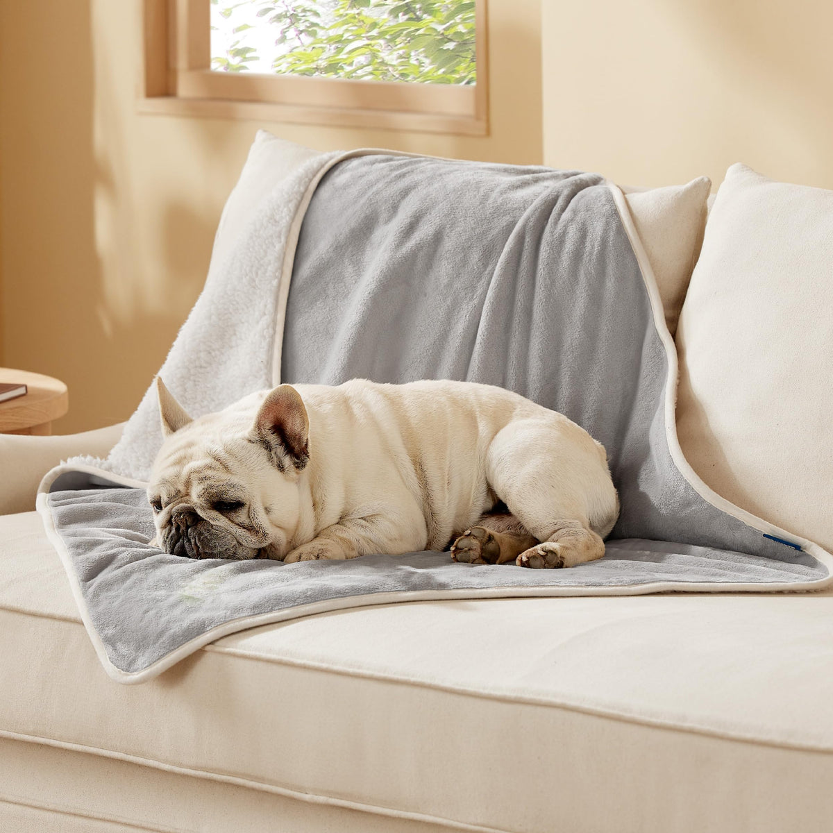 Bedsure Waterproof Dog Blankets for Small Dogs Soft Cat Blanket Warm,25X35