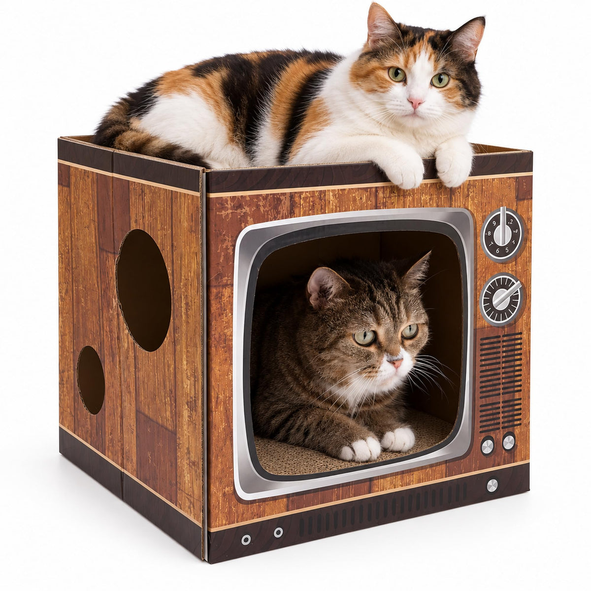 Cinrobiye Cardboard Cat House with Scratcher, Gothic Halloween Cat Scratcher Box with 2 Corrugated Scratch Pads, Open Top Indoor Cat Hideaway Bed for Cats and Kittens