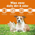 PETKIN Big N Thick PAW Wipes Dog and CAT Wipes
