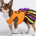 Fitwarm Halloween Pumpkin Dog Dress, Funny Dog Halloween Costumes, Doggy Clothes for Small Dogs Girl, Pet Apparel, Orange, Black, Purple, Small