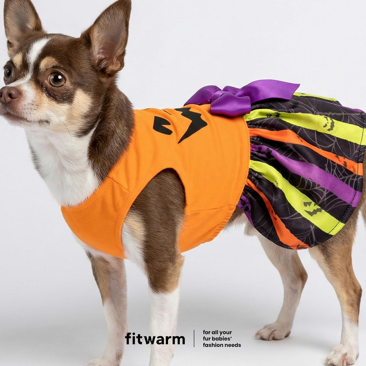 Fitwarm Halloween Pumpkin Dog Dress, Funny Dog Halloween Costumes, Doggy Clothes for Small Dogs Girl, Pet Apparel, Orange, Black, Purple, Small