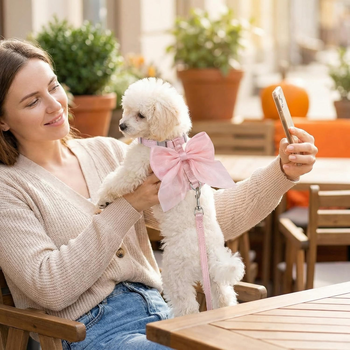Pink Leash and Bow H-Shaped Design Harness for Small Cats Dogs, Proof Soft Adjustable Vest Easy Control Breathable Harnesses for Small Cats Dogs (S 2-7LBS)