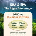 Vegan Omega 3 Algae Oil | Plant Based DHA EPA | Sustainably Sourced, No Carrageenan | Heart, Brain & Eye Health Support | Fish Oil Alternative | Omega 3 Fatty Acid Supplements | 60 Softgels