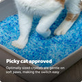 PetSafe ScoopFree 4.3 lb Bags (2 Pack) Premium Crystal Cat Litter - Outperforms Clay Litter - Refill Packs - Reusable Tray Compatible - Fresh Scent