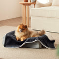 Bedsure Waterproof Dog Blankets for Small Dogs Soft Cat Blanket Warm,25X35