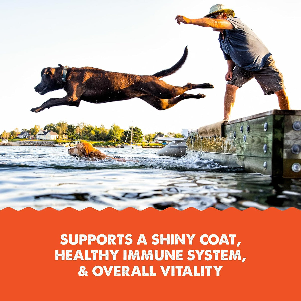Grizzly Pet Products Salmon Plus Omega 3-6-9 Food Supplement for Dogs and Cats, 8 Ounce