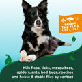 Vet's Best Flea & Tick Shampoo for Dogs, Plant-Based, 12 oz | Advanced Strength Shampoo, Kills Fleas & Ticks, Plant-Based Formula, Cleans & Freshens Coat, Made in USA