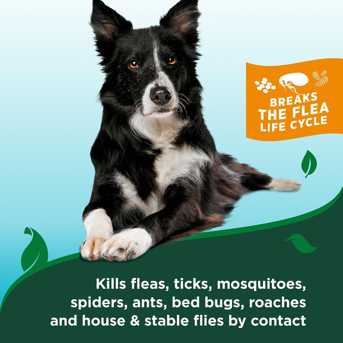Vet's Best Flea & Tick Shampoo for Dogs, Plant-Based, 12 oz | Advanced Strength Shampoo, Kills Fleas & Ticks, Plant-Based Formula, Cleans & Freshens Coat, Made in USA