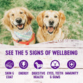 Wellness Complete Health Pate Variety Pack Adult Canned Wet Dog Food, Wholesome Grains, Natural, 12.5 oz, Pack of 6 Cans