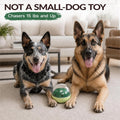XL Rolling Dog Treat Dispenser Toys Wobble Giggle Ball, Slow Feeder