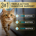 Purina Pro Plan AdvantEDGE Digestive Support Plus Adult Salmon and Rice Formula Dry Cat Food - 5 lb. Bag