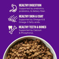 Wellness Complete Health Adult Dry Dog Food, Wholesome Grain Kibble, Natural, Chicken and Oatmeal Recipe, 30 lb Bag