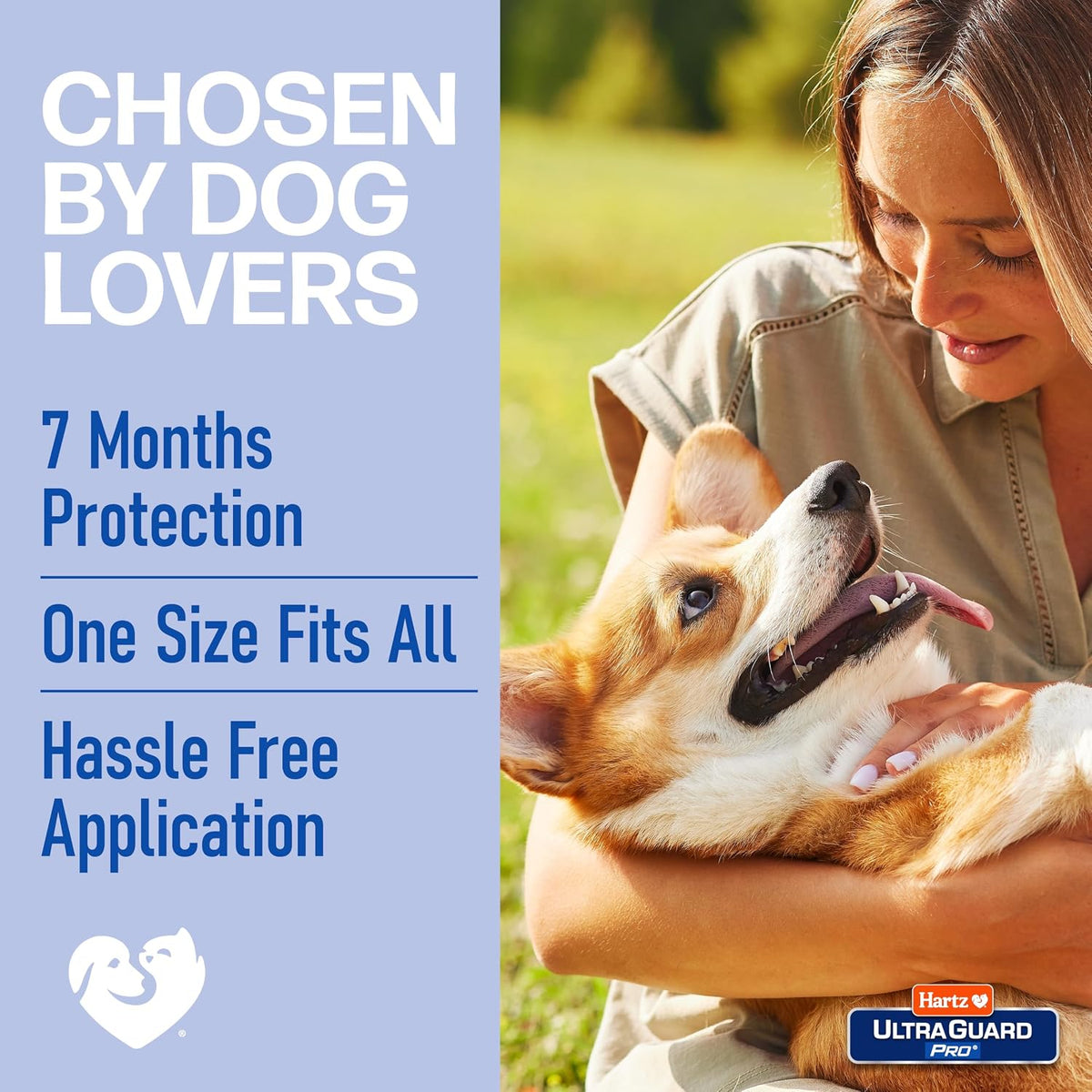 Hartz UltraGuard Pro Reflective Flea & Tick Collar for Dogs and Puppies, 7 Month Flea and Tick Prevention Per Collar, 1 Count